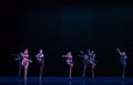 Fascinating tap dance-Classical ballet `Austen collection`