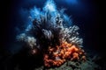 A fascinating, underwater volcanic vent, spewing mineral-rich plumes into the surrounding water, attracting a diverse and unique