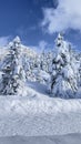 Fascinating winter landscapes in the mountains, nature, tranquility, scenery and picturesque images