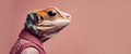 fashion Agama lizard in color suit with sunglasses on a solid color background portrait right side