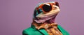 fashion Agama lizard in color suit with sunglasses on a solid color background portrait right side