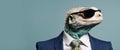 fashion Agama lizard in color suit with sunglasses on a solid color background portrait right side