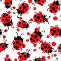 Fashion animal seamless pattern with colorful ladybird on white polka dots background. Cute holiday illustration with Royalty Free Stock Photo