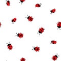 Fashion animal seamless pattern with colorful ladybird on white polka dots background. Cute holiday illustration with Royalty Free Stock Photo