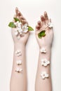 Fashion art hand woman in summer time and flowers on her hand with bright contrasting makeup. Creative beauty photo hand girls Royalty Free Stock Photo