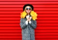 Fashion autumn happy smiling woman holds yellow maple leaves Royalty Free Stock Photo