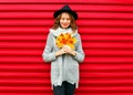 Fashion autumn portrait woman holds yellow maple leaves on a red Royalty Free Stock Photo