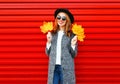 Fashion autumn smiling woman holds yellow maple leaves on a red Royalty Free Stock Photo