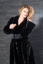 Fashion beautiful blonde woman posing in fur coat. Winter Girl Model in Luxury clothes and furry collar on gray background Royalty Free Stock Photo