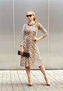 Fashion beautiful woman wearing a leopard dress and sunglasses Royalty Free Stock Photo