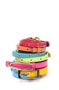 Fashion belts for women Royalty Free Stock Photo