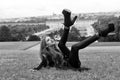 Fashion beuty portrait. Stylish young girl on grass