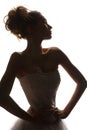 Fashion brides silhouette Royalty Free Stock Photo