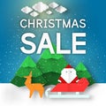 Fashion Christmas Sale background