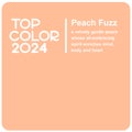 Fashion color of 2024 year. Peach background with description. Square vector banner for web design