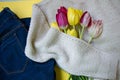 Fashion concept, Blue jeans, beige knitted sweater and a bouquet of spring flowers - beautiful red and yellow tulips, female casua