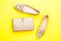 Fashion concept. Handbag, shoes isolated on yellow background, fashion. Top view. Pair of shoes and bag. Fashion and