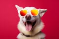 dog funny cute animal smile sunglasses pet goggles portrait background. Generative AI.