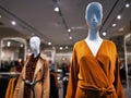 Fashion dummy - clothing for women, brown dress
