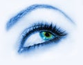 Fashion eye Royalty Free Stock Photo