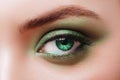 Fashion eye, long eyelashes and beautiful eye. Royalty Free Stock Photo