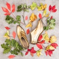 Fashion flat lay. Autumn leaves and golden shoes. Background Royalty Free Stock Photo
