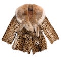 Fashion fur coat Royalty Free Stock Photo