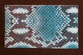 Fashion genuine leather sample embossed under exotic skin reptile dark turquoise color on dark background