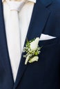 Groom with rose boutonniere on wedding Royalty Free Stock Photo