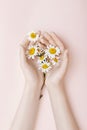 Fashion hand art chamomile natural cosmetics women, white beautiful chamomile flowers hand with bright contrast makeup, hand care Royalty Free Stock Photo