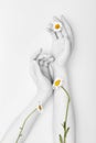 Fashion hand art chamomile natural cosmetics women, white beautiful chamomile flowers hand with bright contrast makeup, hand care