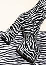 Fashion heel party zebra boots on minimal texture print background. Stylish tropical concept