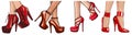 Fashion high heels shoes. vector art illustration.