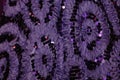 Fashion industry- purple textured fabric background