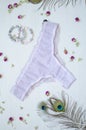 Fashion lace women lingerie. Retro style underwear. Lilac colored bra and panties
