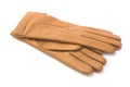Fashion leather gloves Royalty Free Stock Photo