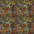 Fashion leopard exotic seamless pattern.