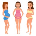 Fashion look of pregnancy woman in swimsuit, vector illustration.