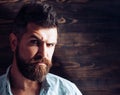 Fashion and male beauty of graying man. Barber and hairdresser salon. Man with beard and mustache on wooden background Royalty Free Stock Photo