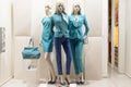 Fashion mannequin showcase display shopping retail