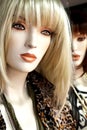 Fashion Mannequins Royalty Free Stock Photo