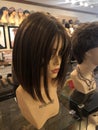 Fashion Mannequins in wigs.