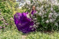 Fashion Model in Lilac Flowers, Young Woman in Beautiful Long Dress Waving on Wind, Outdoor Beauty Portrait in Blooming