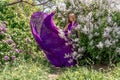 Fashion Model in Lilac Flowers, Young Woman in Beautiful Long Dress Waving on Wind, Outdoor Beauty Portrait in Blooming Royalty Free Stock Photo