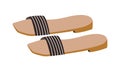 Fashion one-strapped slides or slippers with low heels. Backless summer shoes. Trendy women's footwear. Colored flat
