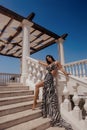 beautiful woman with dark hair in elegnt dress with zebra print posing in beach club