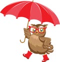 Fashion owl under the umbrella