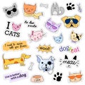 Fashion patch badges. Cats and dogs set. Stickers, pins, patches handwritten notes collection in cartoon 80s-90s comic