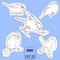 Fashion patch set, badges with european birds. This illustration