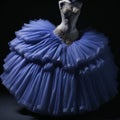 Beautiful blue ballerina dress.